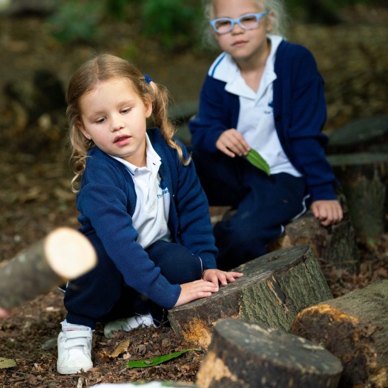 girls sitting on tree stumps