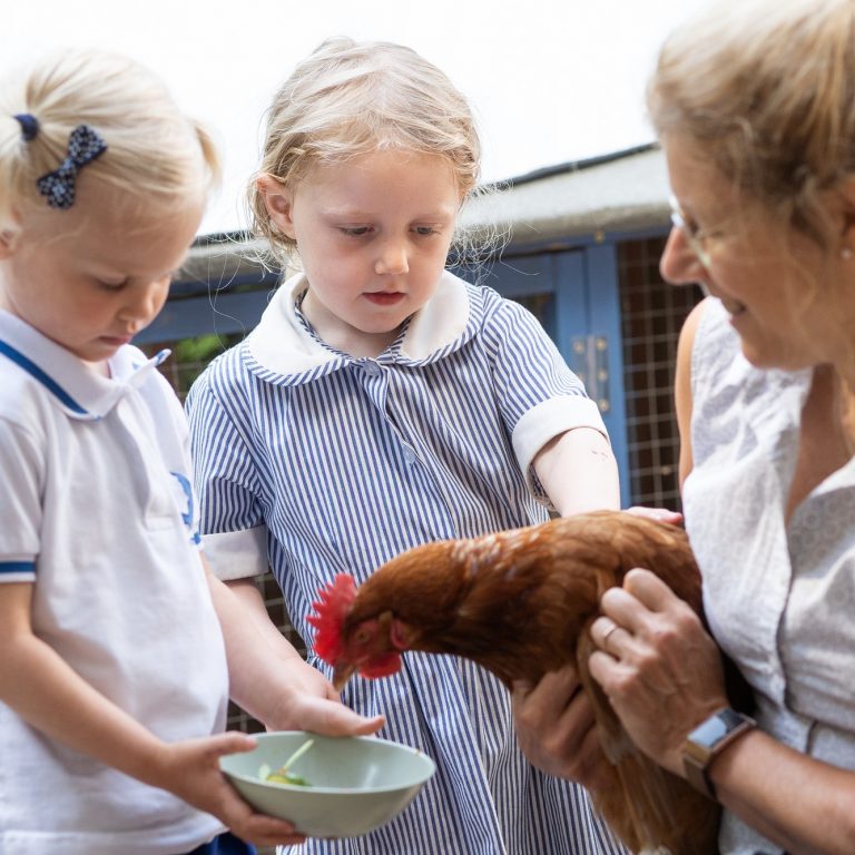 children with a chicken