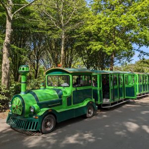 green children's train