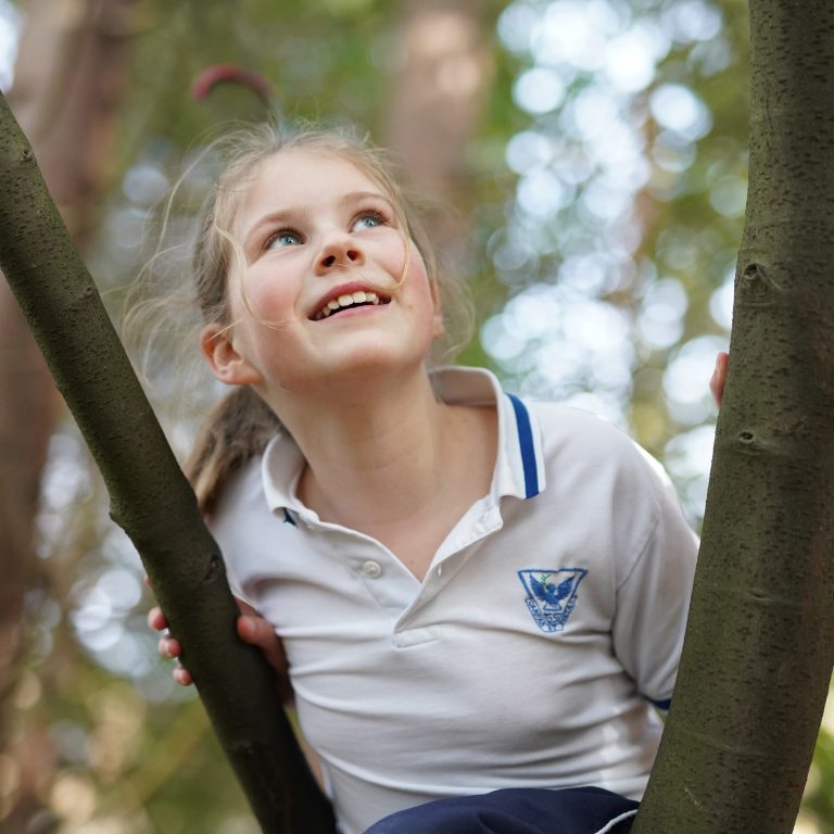 girl sat on a tree