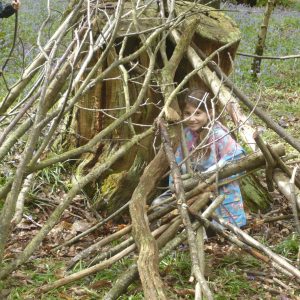 wooden hut