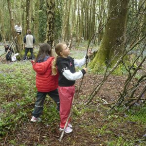 children collecting branches