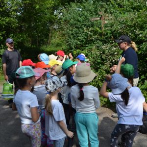 children on a camping trip