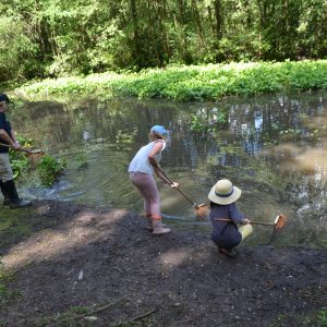 children using nets