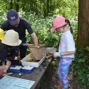 children examining the contents of their nets