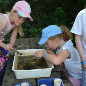 children examining what they have collected