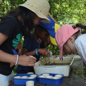 children examining what they have collected