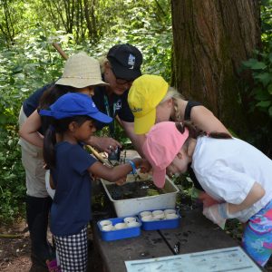 children examining what they have collected