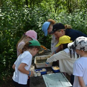 children examining what they have collected