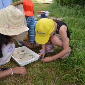 children collecting wildlife